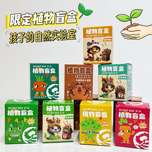 【10盒限定植物盲盒】小学生DIY创意蛇年盆栽迷你桌面绿植 儿童礼物 种植吧春天植物 商品图1