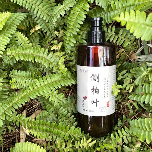 【2瓶】侧柏叶植物洗发水、不含硅油、多种植物配方、人参姜根何首乌植物护发、500ml/瓶-54 商品图2