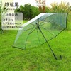 【自动透明雨伞】直杆透明伞，透明环保伞布，视野更宽阔，8骨，16骨稳定伞架结构结实，防水抗风，穹顶鸟笼结构，360°遮挡遇水。半自动开关，轻松开伞，避免撑伞时手臂被淋湿！ 商品缩略图7