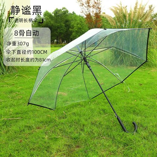 【自动透明雨伞】直杆透明伞，透明环保伞布，视野更宽阔，8骨，16骨稳定伞架结构结实，防水抗风，穹顶鸟笼结构，360°遮挡遇水。半自动开关，轻松开伞，避免撑伞时手臂被淋湿！ 商品图7