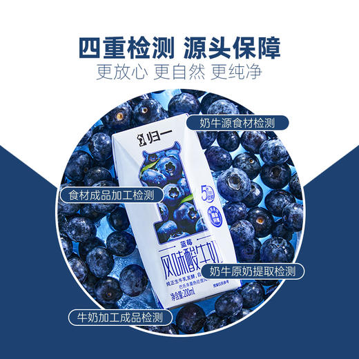 归一蓝莓风味酸牛奶200mL*12盒*2箱生牛乳发酵酸奶 商品图4