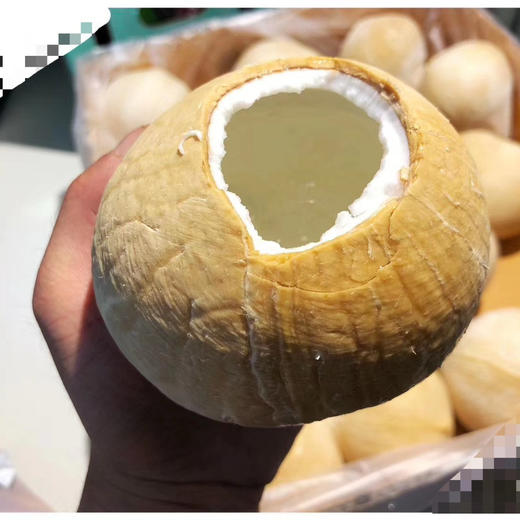 泰国椰皇 一箱9个 商品图5