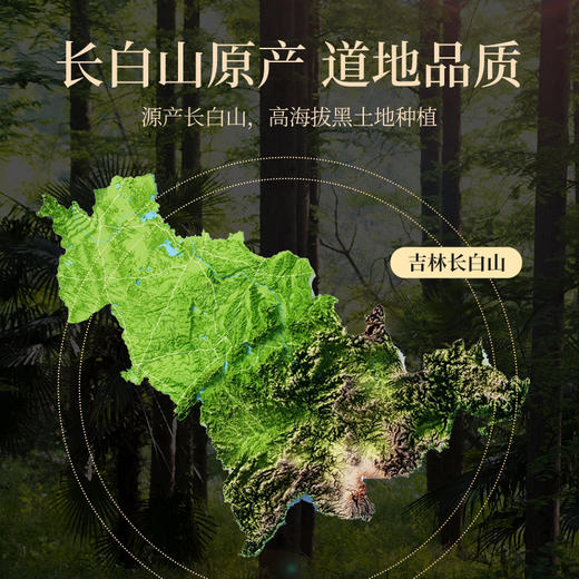 杞里香东北长白山人参50g、人参礼盒100g7支装]人参非一等参高档泡酒林下山参年礼整参供货，每一支都来之不易 商品图2