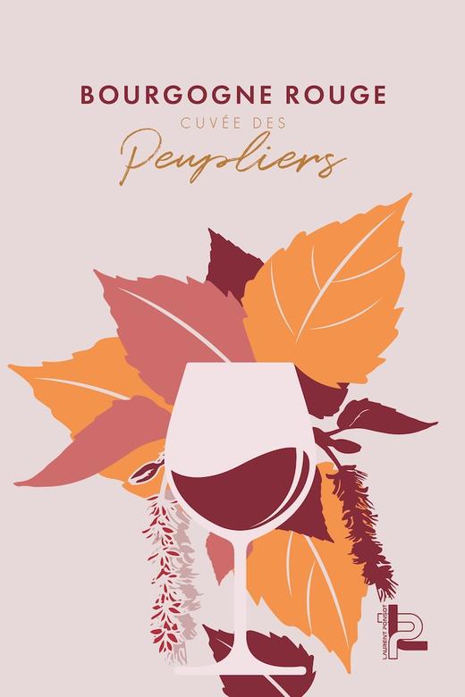 劳伦彭寿勃艮第白杨特酿红 Laurent Ponsot Bourgogne Rouge Cuvee des Peupliers 商品图1