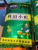 【城心米】黔味稻秋田小町米25kg【GY】 商品缩略图1