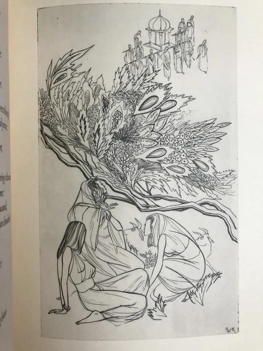 圣典雅歌 荷兰画家罗森铜版画插图 精装16开带书匣 商品图5