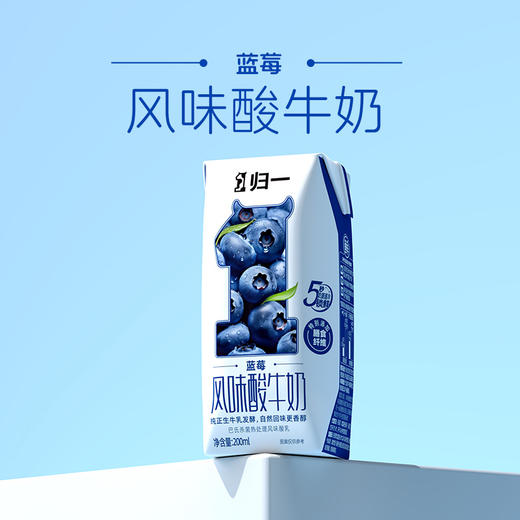 归一蓝莓风味酸牛奶200mL*12盒*2箱生牛乳发酵酸奶 商品图2