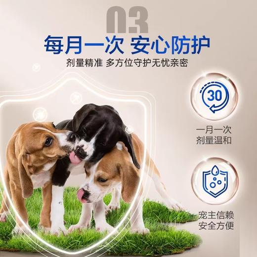 超可信犬用驱虫 商品图2