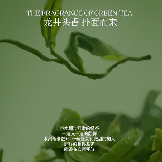 寻遇 春水煎茶香水 商品图4