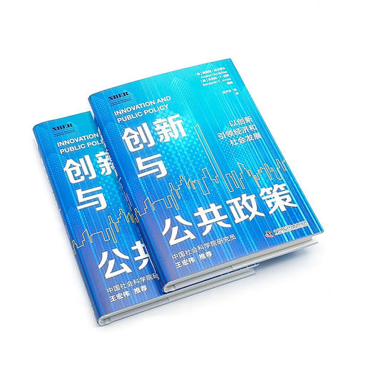 创新与公共政策：用创新为投资领域和社会发展增添活力 商品图4