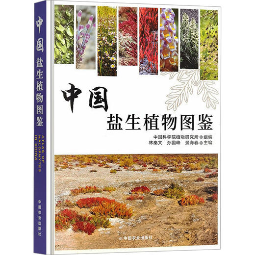 中国盐生植物图鉴 商品图0
