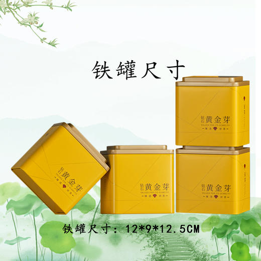 璀璨【4听.黄金芽】43元1套.整箱12套 商品图3