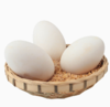 天然散养生态鹅蛋  （狮头鹅蛋和白鹅蛋两个品种）全国配送（偏远地区除外） 商品缩略图0