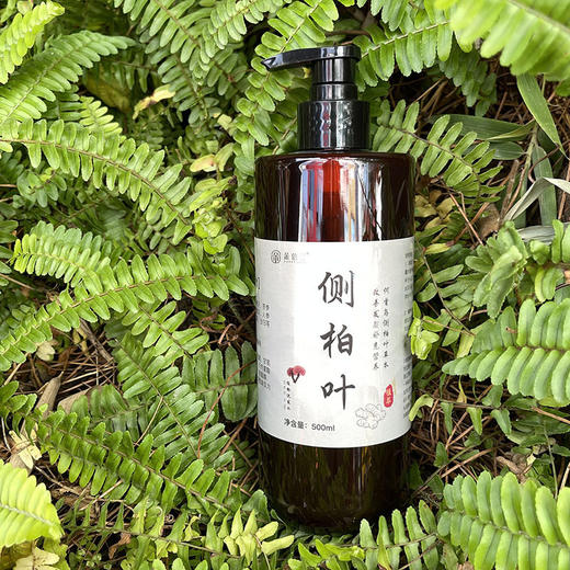 【2瓶】侧柏叶植物洗发水、不含硅油、多种植物配方、人参姜根何首乌植物护发、500ml/瓶-54 商品图3