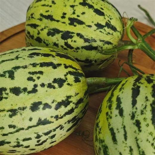 【绿宝甜瓜】山东绿宝甜瓜 绿宝花美人甜瓜 3斤/5斤装 商品图9
