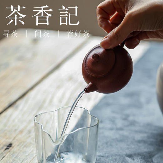 茶香记 好壶气24目小煤窑双盖具轮珠100ml紫砂泡茶壶茶室功夫茶具 商品图4