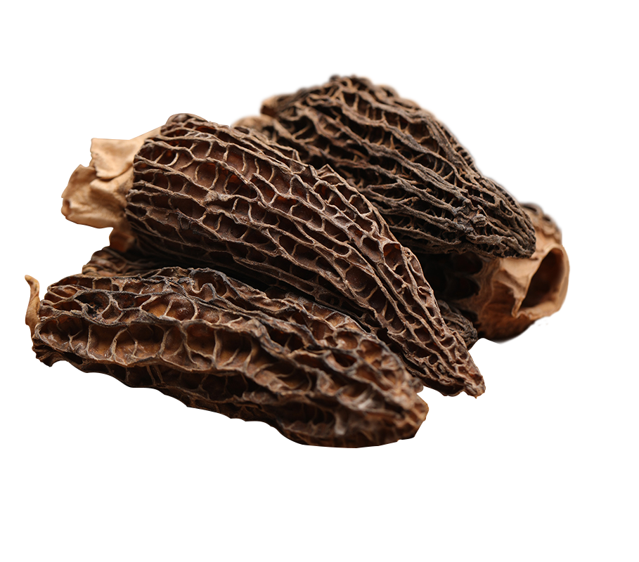 精品干羊肚菌50g