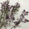 丁香花.紫色 商品缩略图2