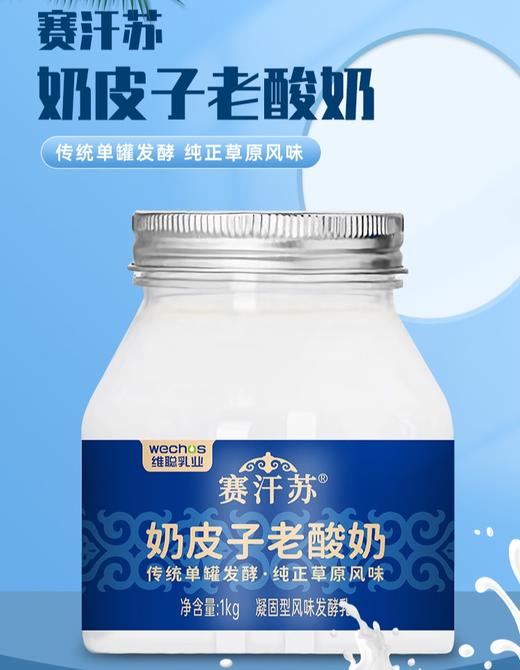 【奶皮子老酸奶】天然健康，纯正草原风味！黄金奶源，都是生牛乳浓缩！绵密细腻，奶香浓郁！一罐解锁多种花式吃法！【TJ-J】 商品图1