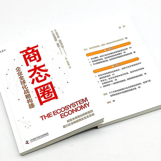 商态圈：企业全球化战略构建（为企业提供全新的商业视角和行动指南!） 商品图6