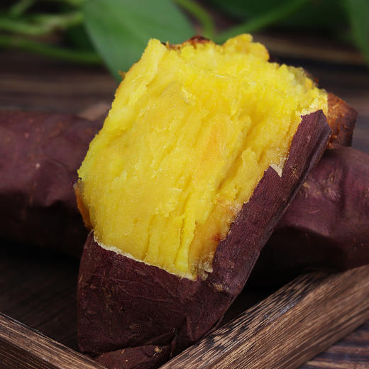 【榴莲地瓜】榴莲蜜薯黄金番薯黄心红薯新鲜红薯现挖地瓜蔬菜 商品图1