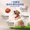 超可信犬用驱虫 商品缩略图1