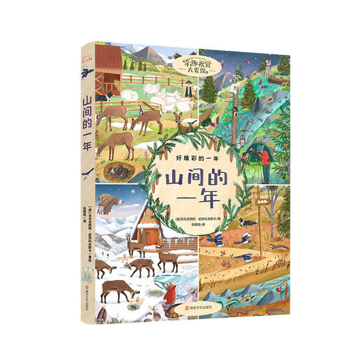 奇趣视觉大发现·好精彩的一年（全5册） 视觉大发现 精装正品儿童绘本热销 专注力 全景  同一视角观察一年变化 自然、动物、人、车 商品图7