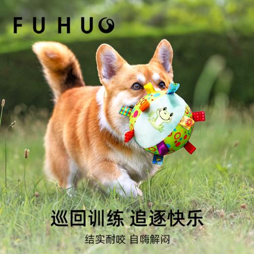 【限时8折】俘获狗狗玩具耐咬解闷发声毛绒球 商品图2