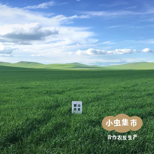 蒙北有机燕麦片 280g/盒 | 合作农友生产，产自内蒙古乌拉盖草原，生产者：李刚岭 &【公平贸易农人定价】 商品图8