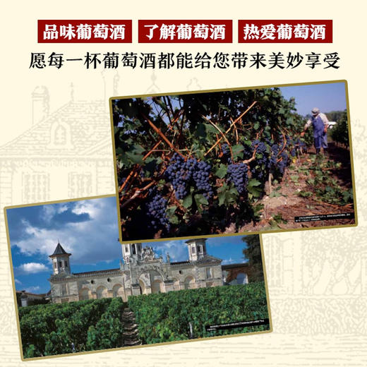 DK葡萄酒大百科：一本关于葡萄酒的百科全书 商品图2