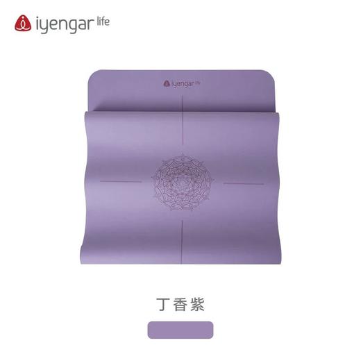 艾扬格 life 便携出行辅具套餐系列  让你随时随地享受瑜伽运动的乐趣 携瑜伽出行辅具套餐 商品图3