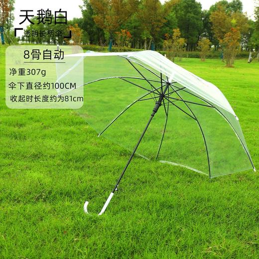 【自动透明雨伞】直杆透明伞，透明环保伞布，视野更宽阔，8骨，16骨稳定伞架结构结实，防水抗风，穹顶鸟笼结构，360°遮挡遇水。半自动开关，轻松开伞，避免撑伞时手臂被淋湿！ 商品图6