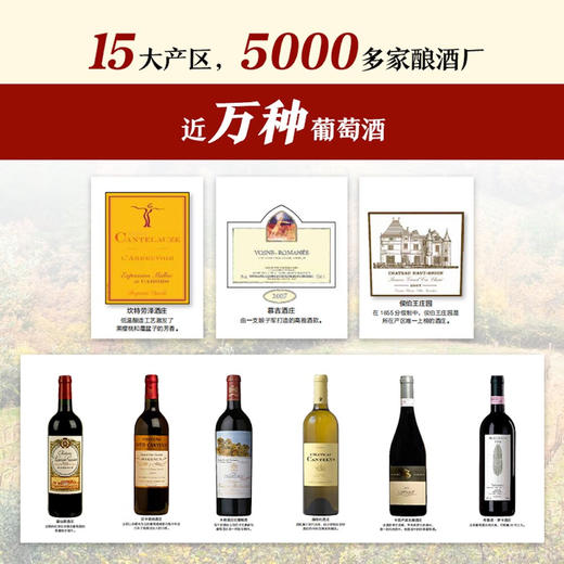 DK葡萄酒大百科：一本关于葡萄酒的百科全书 商品图1