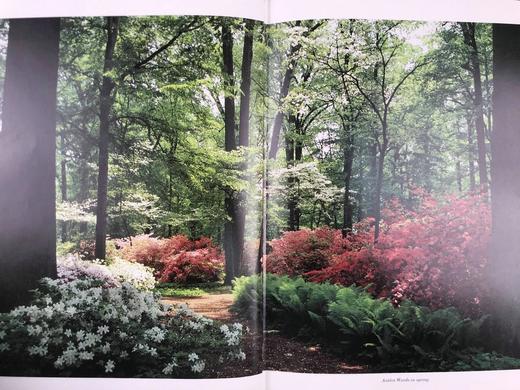 温特图尔风景建筑图集 数百幅插图 精装大16开 商品图6