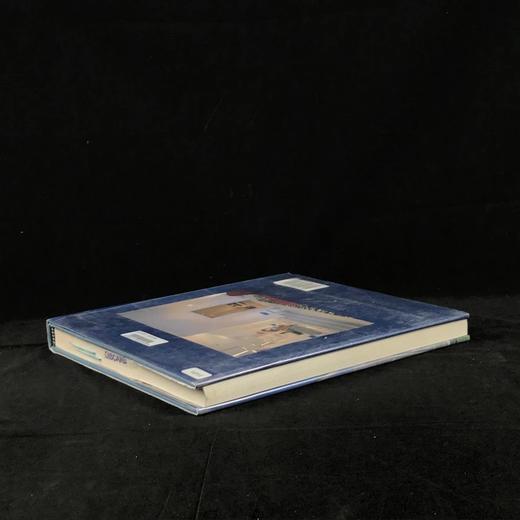 菲利普·约翰逊/艾伦·理奇建筑 数百幅插图 精装16开 商品图2