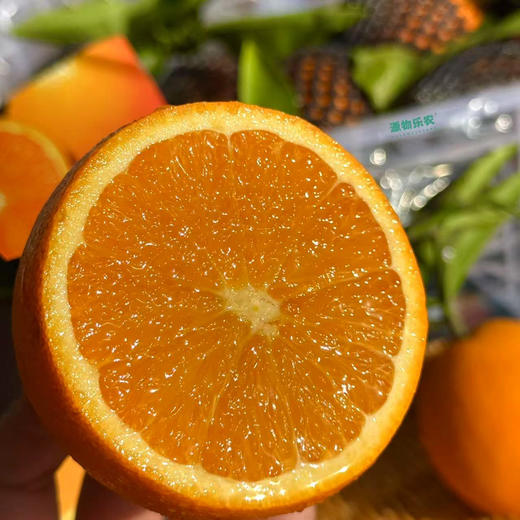 重庆奉节县伦晚脐橙，高山种植，皮薄水分足，自然生长，果味浓郁！毛重7斤 商品图1
