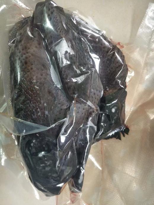 【外地（主城区外）订单链接，顺丰发货】郧阳白桑关白羽乌鸡（1年左右）单只杀完净重2.2~2.5斤左右 商品图5