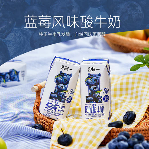 归一蓝莓风味酸牛奶200mL*12盒*2箱生牛乳发酵酸奶 商品图1