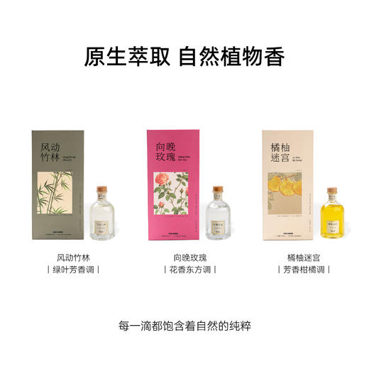 无火香薰丨风动竹林香薰 清平乐系列藤条扩香清新室内持久增香无火香薰生日生日礼物 商品图2