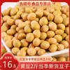 【食品】黄豆当年新豆子豆浆食材非转基因黄豆杂粮2斤 商品缩略图0