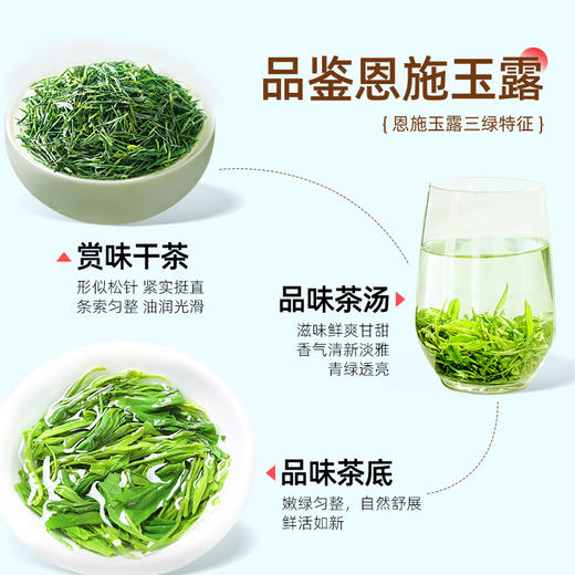 【2025新茶】茶马世家恩施玉露明前特级头采蒸青绿茶天青宋韵礼盒 商品图2