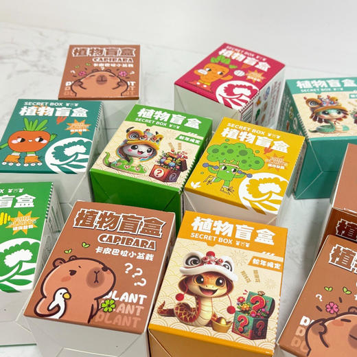 【10盒限定植物盲盒】小学生DIY创意蛇年盆栽迷你桌面绿植 儿童礼物 种植吧春天植物 商品图3
