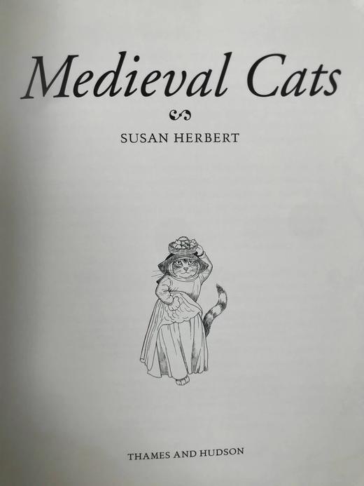 猫咪版中世纪艺术图集 31幅彩色插图 精装18开 商品图3