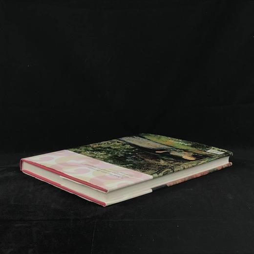 象征主义画集 数百幅彩色插图 精装大16开 商品图2