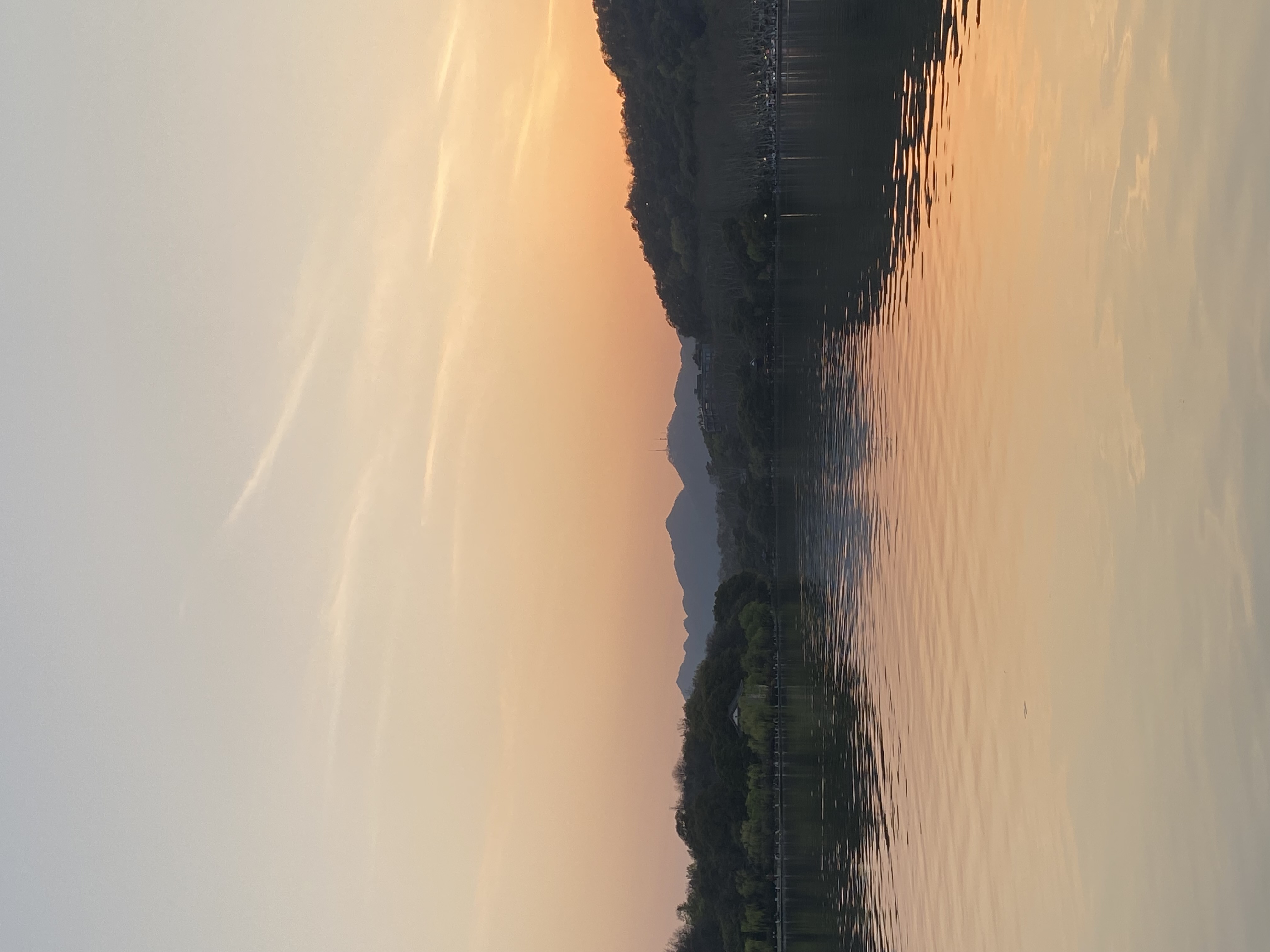 麦角测试加料属性商品