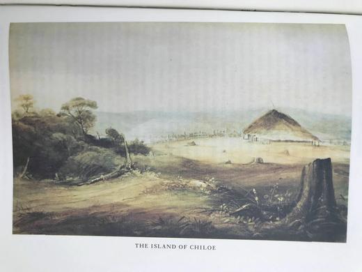 达尔文《比格尔号航海日记》（1979二印） 12幅彩色插图 精装16开带书匣 商品图10