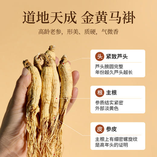 杞里香东北长白山人参50g、人参礼盒100g7支装]人参非一等参高档泡酒林下山参年礼整参供货，每一支都来之不易 商品图4