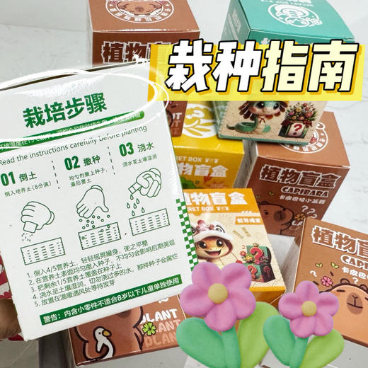【10盒限定植物盲盒】小学生DIY创意蛇年盆栽迷你桌面绿植 儿童礼物 种植吧春天植物 商品图2