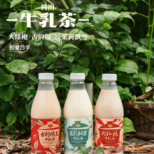 衿川牛乳茶 健康安心享好味 大红袍+古韵锡兰+茉莉飘雪多口味 商品图0