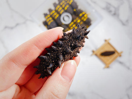 千叶群岛淡干海参500g 商品图2